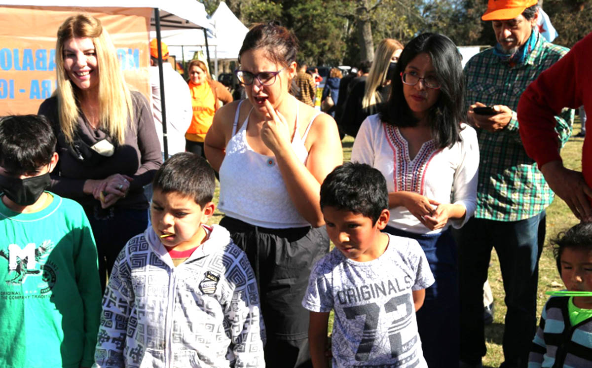 Programas contra el trabajo infantil agrícola