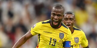 Ecuador grita el gol