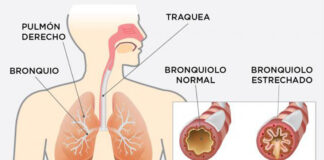 enfermedades respiratorias crónicas
