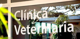 Clínica Veterinaria Municipal de Berazategui
