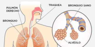 asma-enfermedad-cronica