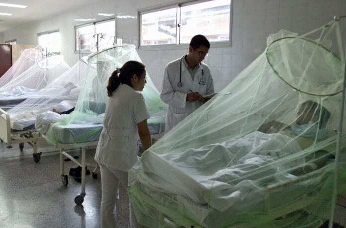 pico dengue argentina