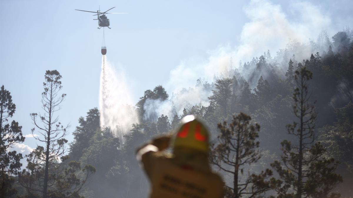 incendio-en-el-Parque-Los-Alerces
