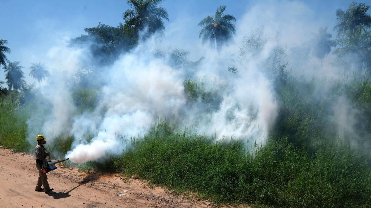 dengue enfermedad endémica