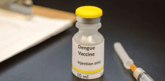 vacuna-dengue