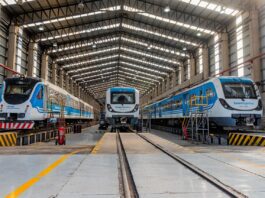 renuncia trenes argentinos