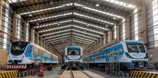 renuncia trenes argentinos