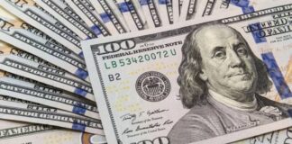 Suben los Dólares Paralelos y Crece la Brecha Cambiaria a Pesar de las Aseguraciones del Gobierno