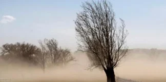 Alerta meteorológica hoy por viento fuerte en nueve provincias: las recomendaciones