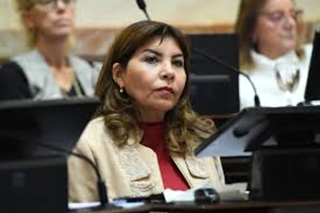 Senadora peronista, sobre Milei: "No creo que llegue al 26 de octubre"