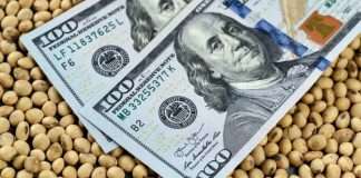 Advierten que el ingreso de dólares del agro podría desplomarse un 80% en el final del año