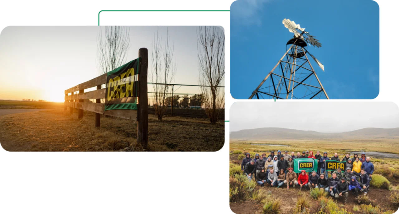 El campo espera por el plan Milei: la siembra será menor en 2026 y “no es buen momento para invertir”