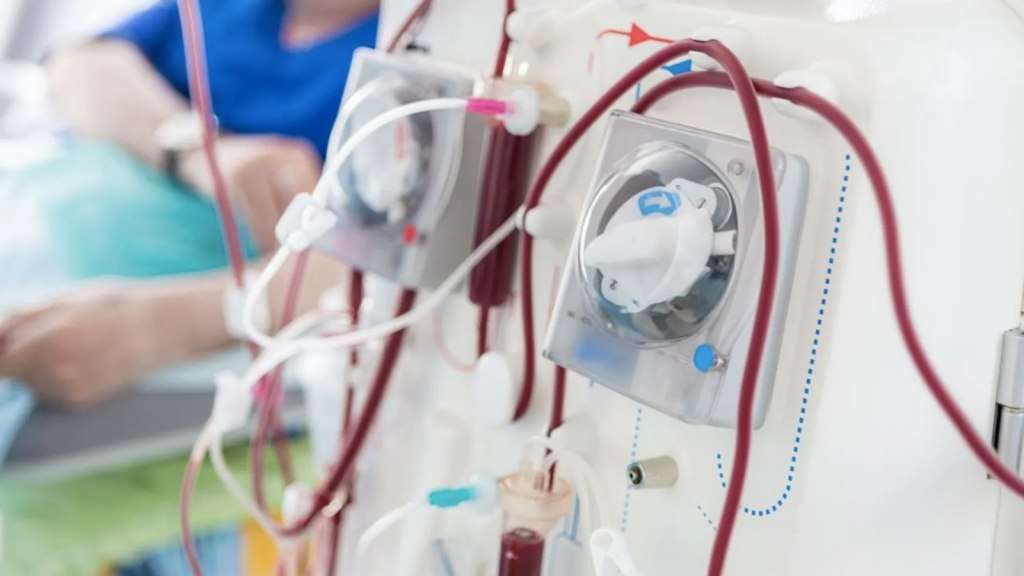 Advierten que uno de cada diez argentinos padece enfermedad renal crónica