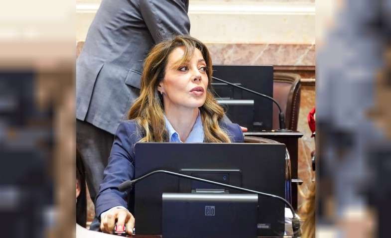 El Senado debate una nueva ley de biocombustibles: el bioetanol subiría al 15% y el biodiésel al 10%