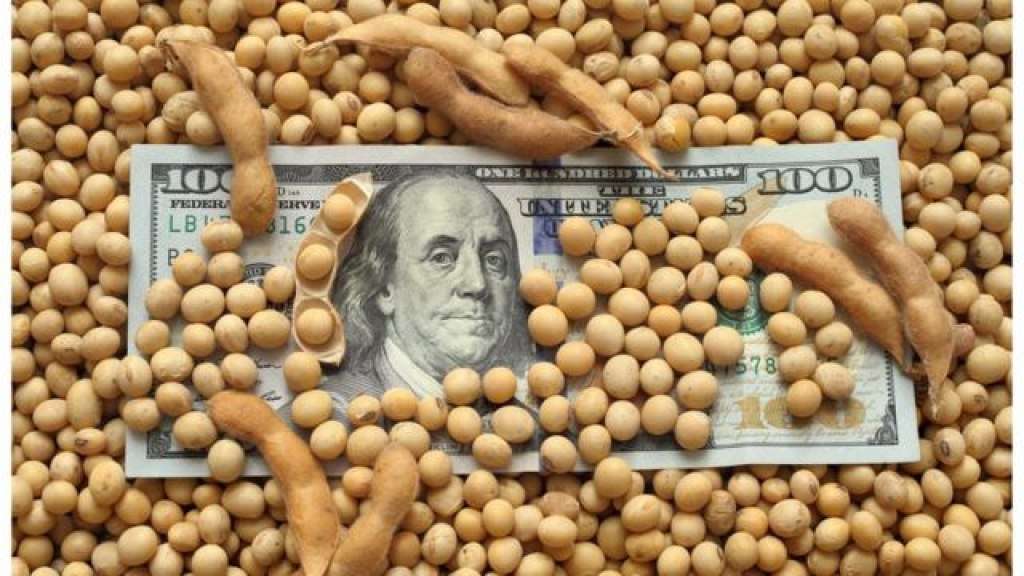 La soja alcanzó su precio máximo durante la era Milei y llegó a los US$ 484 por tonelada