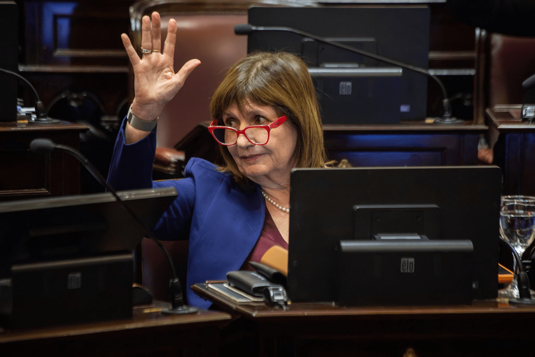 bullrich-candidata